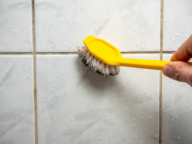 Office Mold Removal Services in Lakeland North, WA