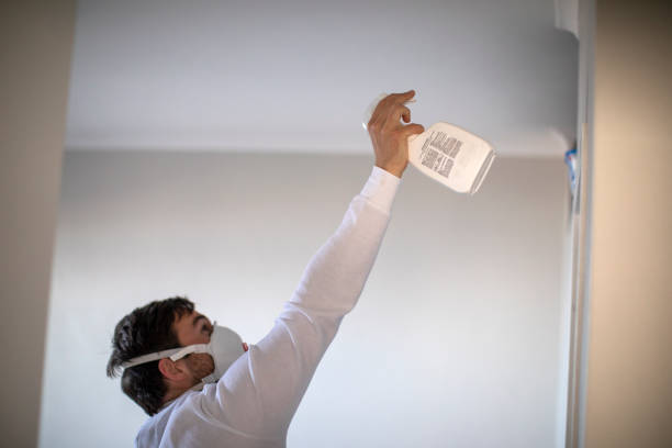 Best Black Mold Removal  in Lakeland North, WA