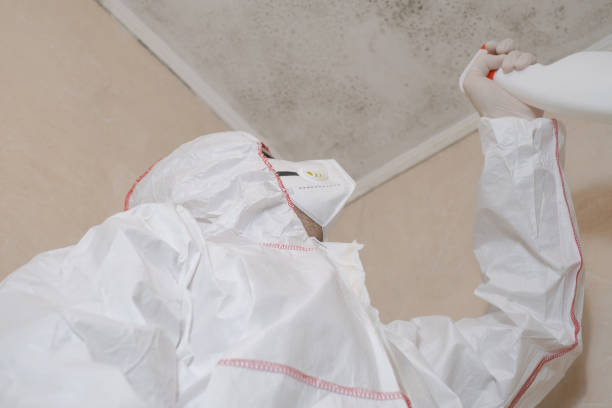 Best Home Mold Removal  in Lakeland North, WA